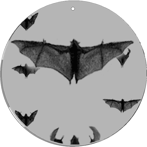 CineSpinner 3 1/2" Bat