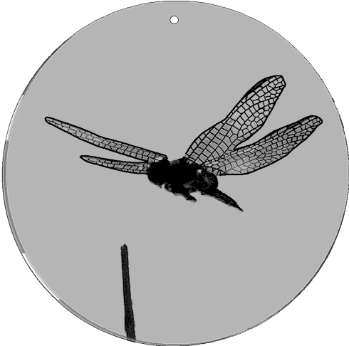 CineSpinner 5 1/2" Dragonfly